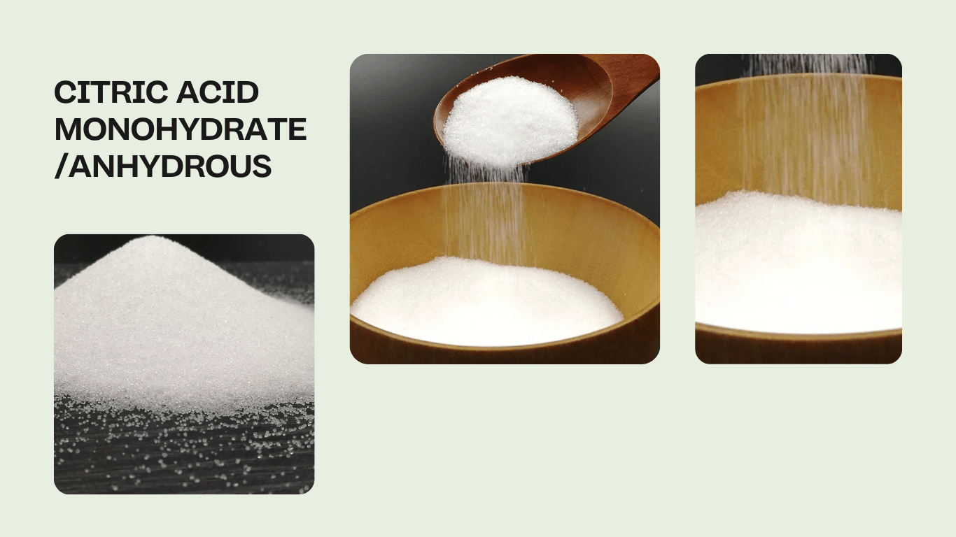 Orange Photographic Consultancy Portfolio & Resume Website (7)